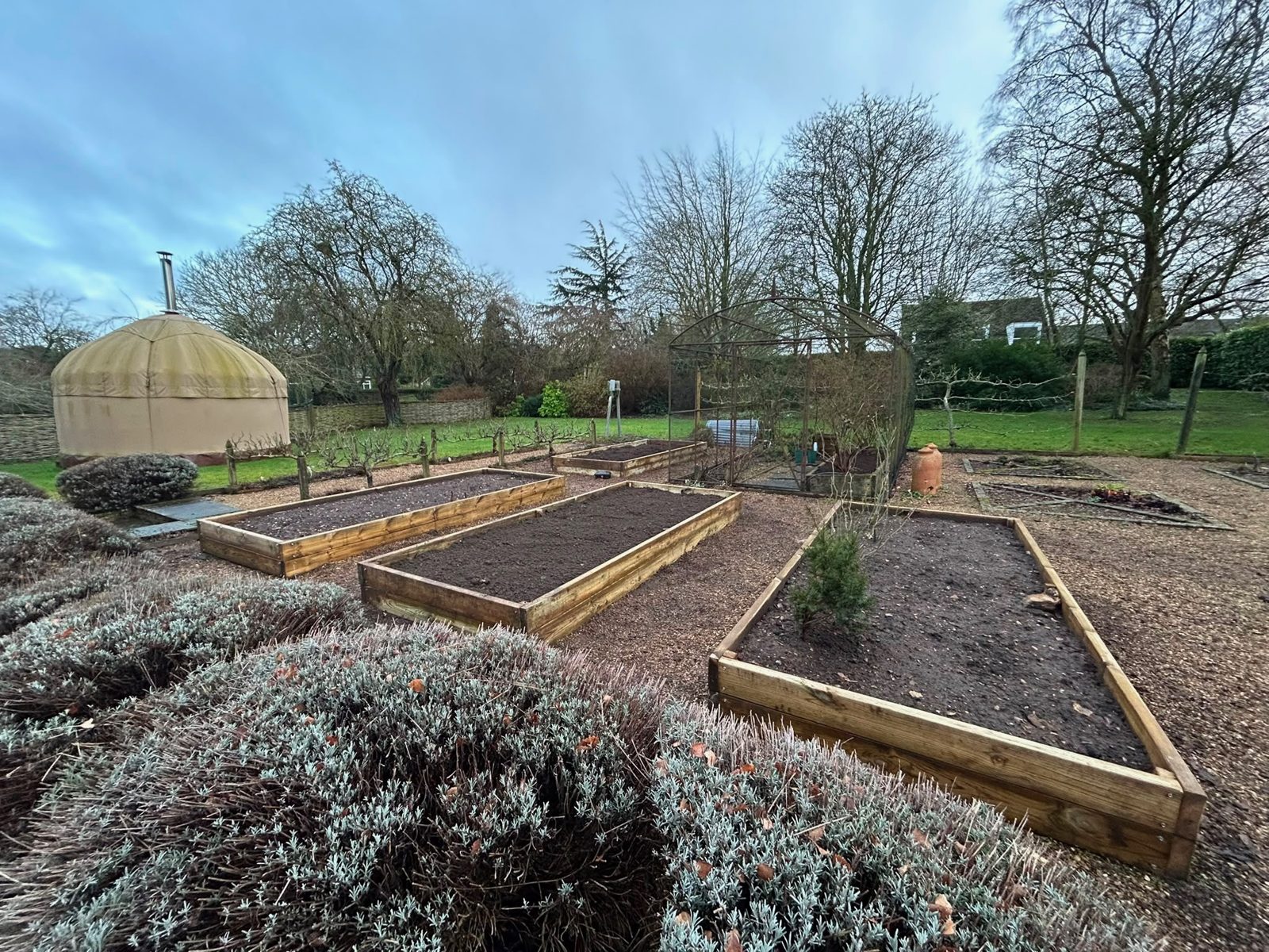 Timber raised beds in a kitchen garden